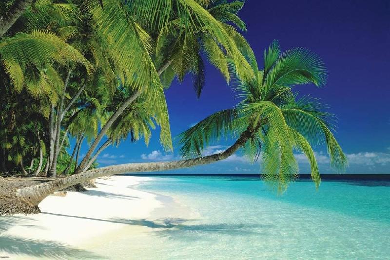Poster d'une plage au Maldives