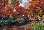 Affiche 3D les 4 saisons à central Park