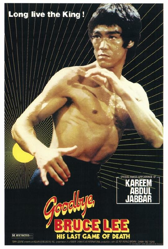 Affiche du film Goodbye Bruce Lee