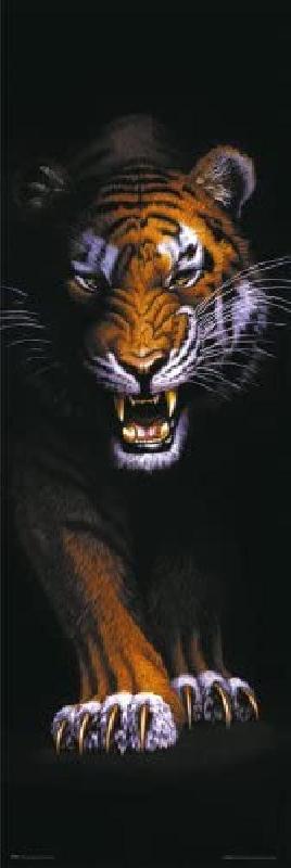 Affiche pour porte d un tigre