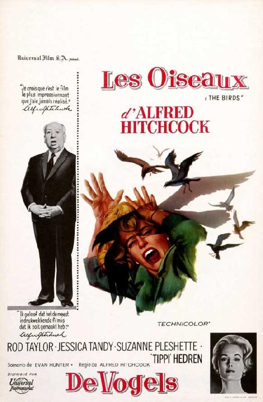 Affiche du film Les Oiseaux d'Alfred Hitchcock