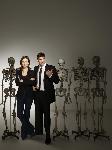 Affiche de la série TV Bones (squelettes)
