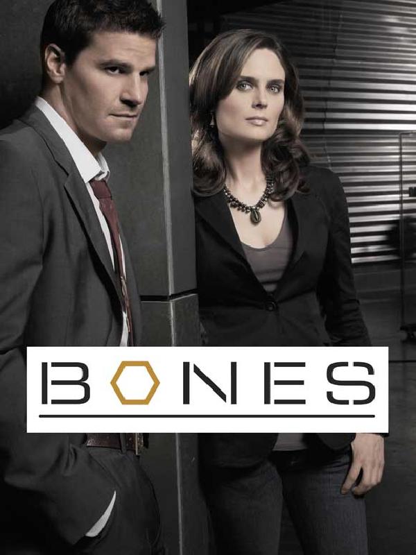 Affiche de la série TV Bones (couple)
