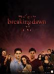 Affiche du film Twilight - Chapitre 4 : Révélation 1ère partie (cast)