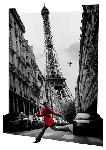 Affiche 3D de la veste rouge à Paris