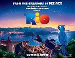 Affiche du film Rio