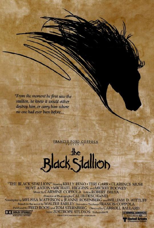 Affiche du film L'Etalon Noir
