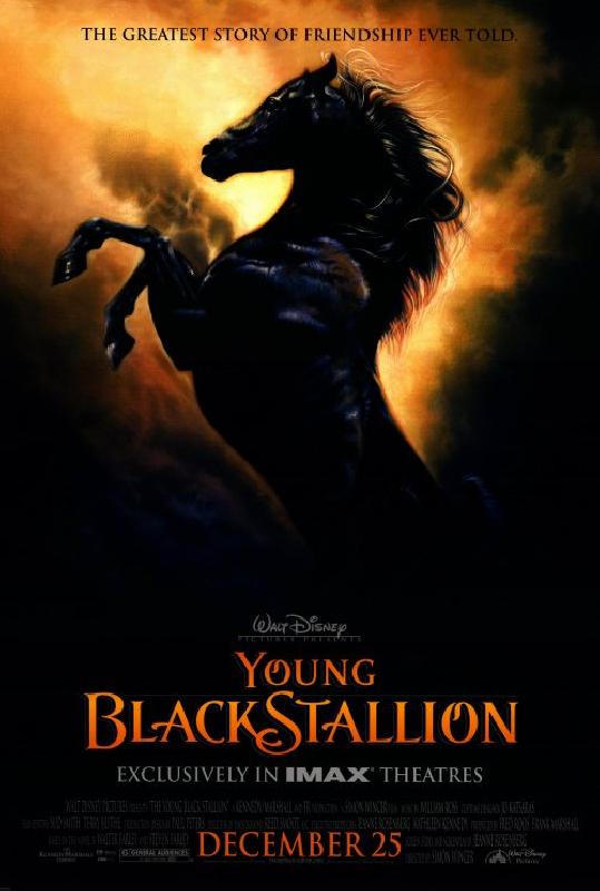 Affiche du film La Légende de l'étalon noir