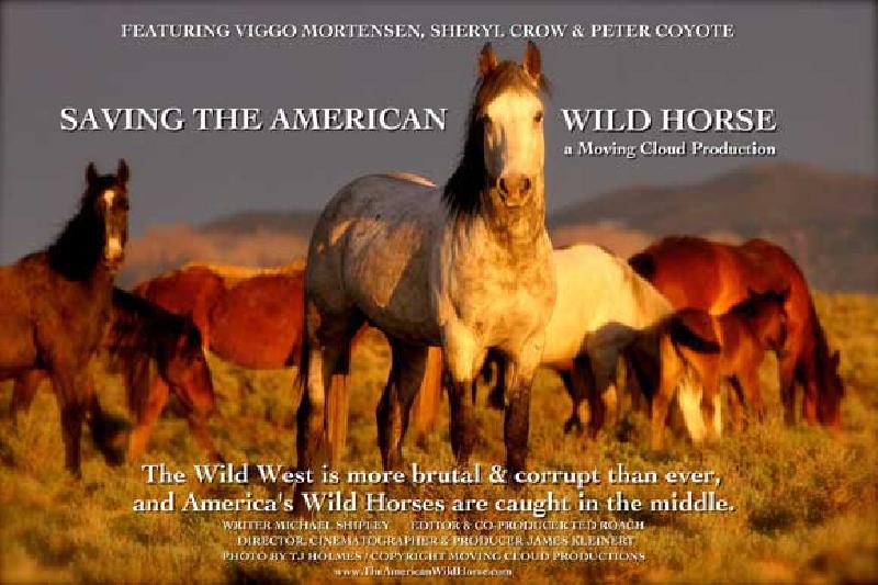 Affiche du documentaire Saving the American Wild Horse