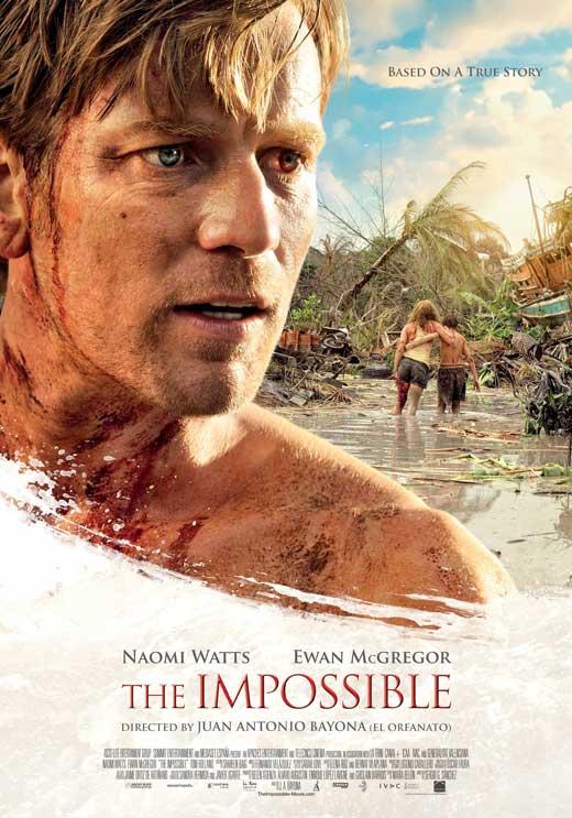 Poster du film The Impossible