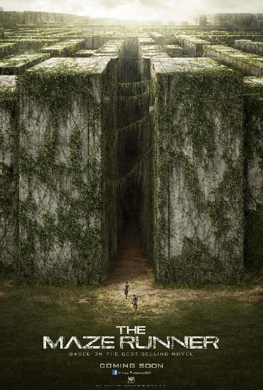 Affiche du film Le Labyrinthe : La Terre brûlée