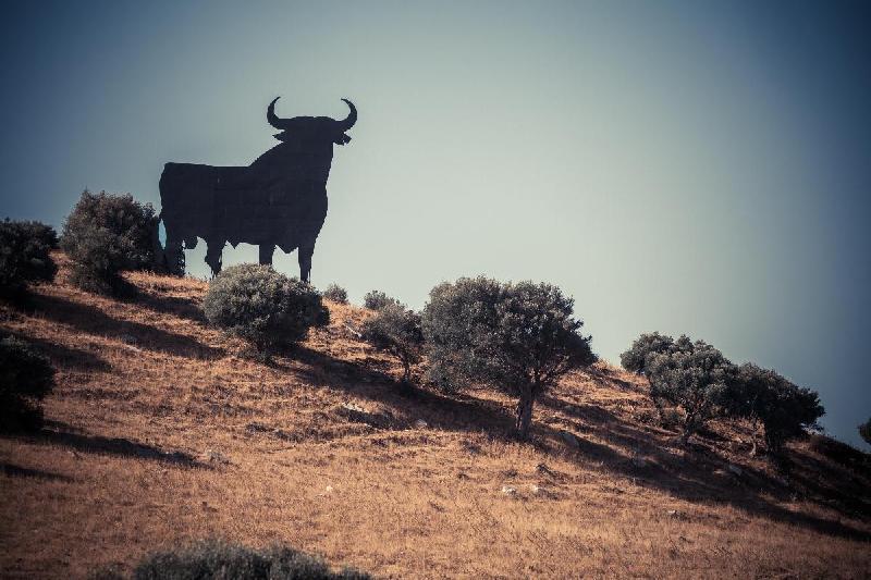 Poster paysage de séville avec son taureau