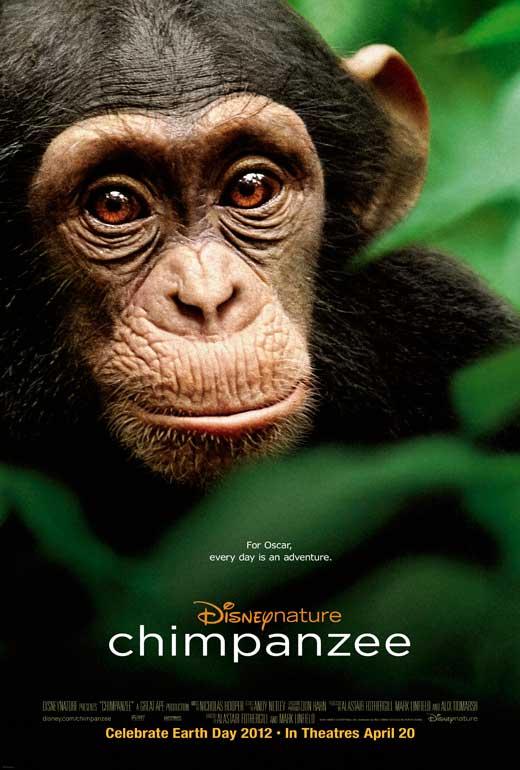 Affiche du film Chimpanzés