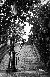 Poster paris Montmartre in black and white