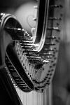 Photo noir & blanc d'un Harpe 