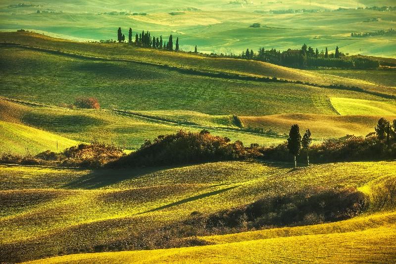 Affiche d'un paysage Toscan 