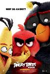 Affiche du film Angry Birds 