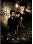 Poster 3d de Twilight (New Moon)