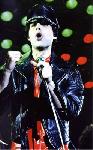 Poster photo Freddie Mercury