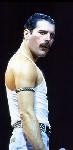 Photo Freddie Mercury Queen