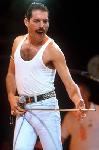 Photo Freddie Mercury Queen