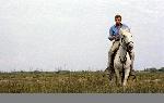 Poster photo Johnny Hallyday à cheval