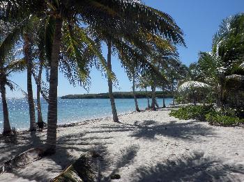 Photo une plage en Guadeloupe
