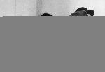 Poster photo de jean-Paul Belmondo en noir et blanc