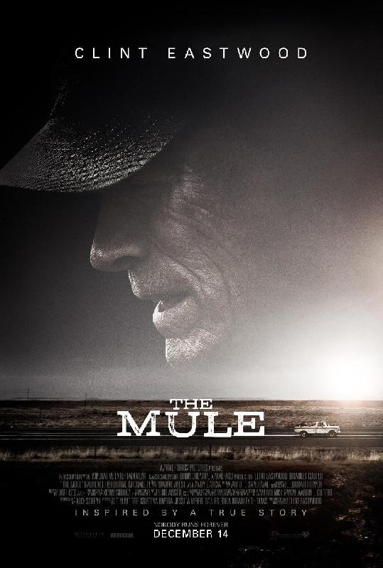 Poster du film La Mule 