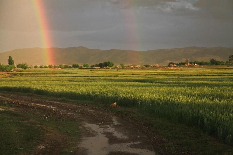 Photo arc en ciel sur rizière en Afghanistan