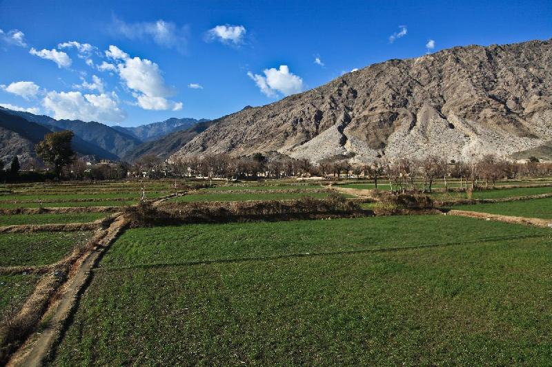 Photo rizière dans la montagne d'Afghanistan