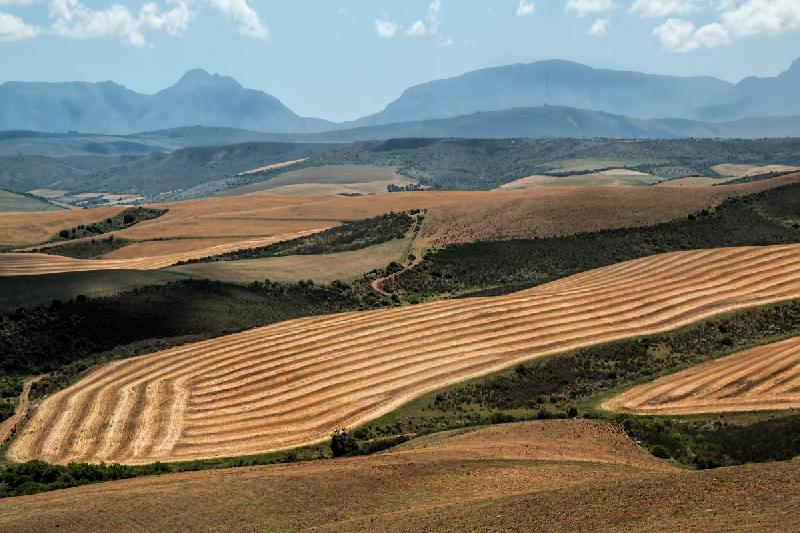 Photo paysage montagne en fond en Afrique du Sud