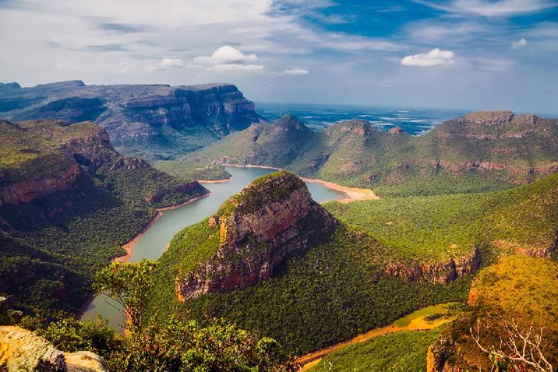 Photo paysage foret en Afrique du Sud