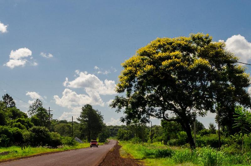 Photo route en zone rurale en Argentine