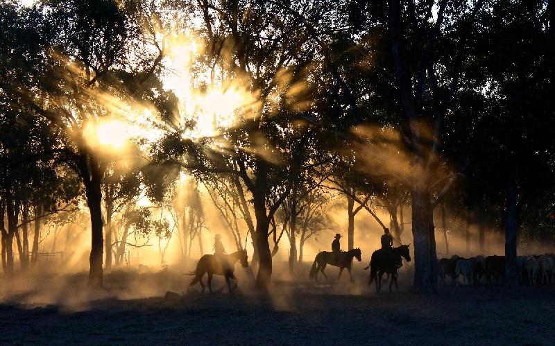 Photo coucher de soleil cow boys Australie