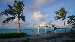 Photo palmier plage Bahamas