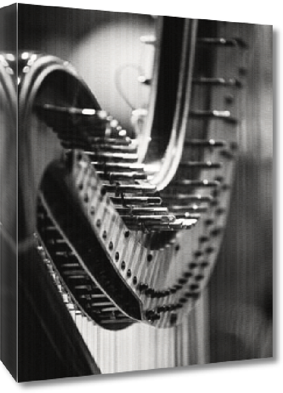 Toiles imprimées Photo noir & blanc d'un Harpe 
