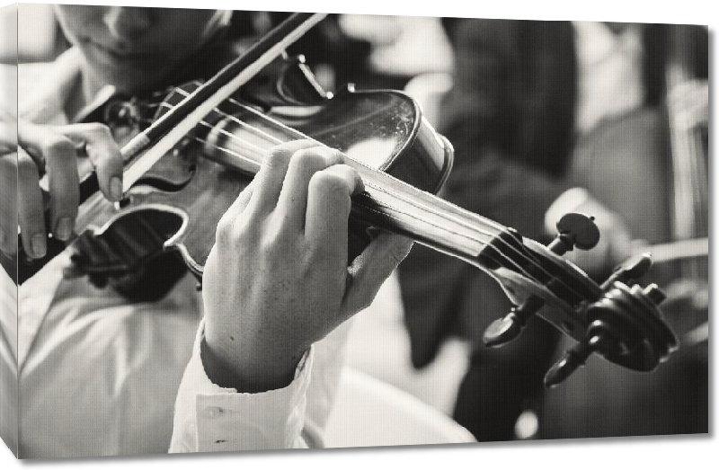 Toiles imprimées Photo noir & blanc d'un violoniste 