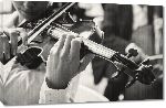 Toiles imprimées Photo noir & blanc d'un violoniste 