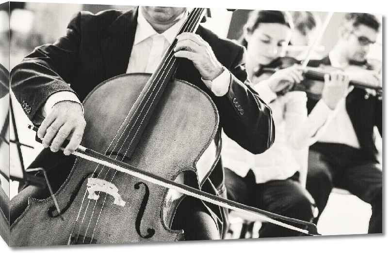 Toiles imprimées Photographie noir & blanc d'un violoncelliste 