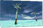 Toiles imprimées Photo d'un hamac sur lagon 