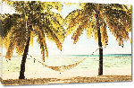 Toiles imprimées Affiche d'une plage avec hammac