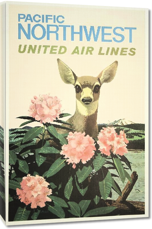 Toiles imprimées Affiche publicitaire vintage Pacific Northwest, United Air Lines