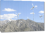Toiles imprimées Photo éolienne montagne d’Afghanistan