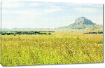 Toiles imprimées Photo paysage Afrique du Sud
