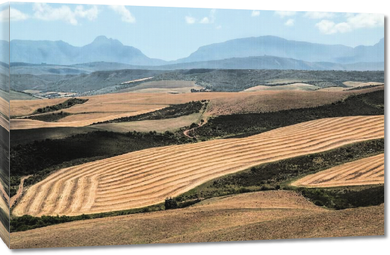 Toiles imprimées Photo paysage montagne en fond en Afrique du Sud