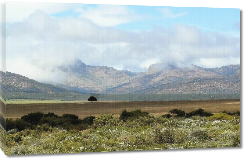 Toiles imprimées Photo paysage montagneux d'Afrique du Sud