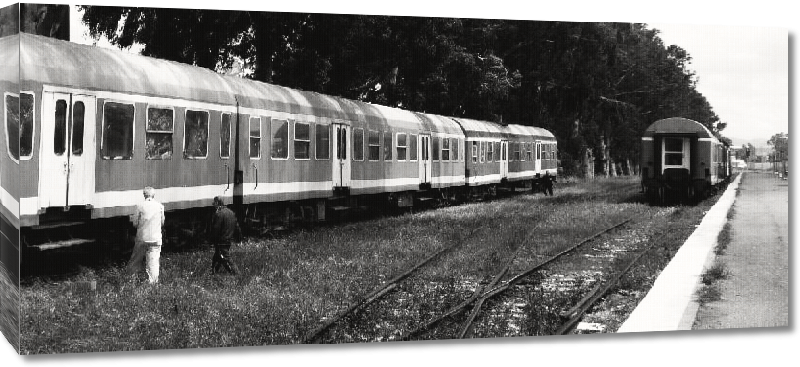 Toiles imprimées Photo noir et blanc d'un train en Albanie