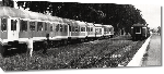 Toiles imprimées Photo noir et blanc d'un train en Albanie