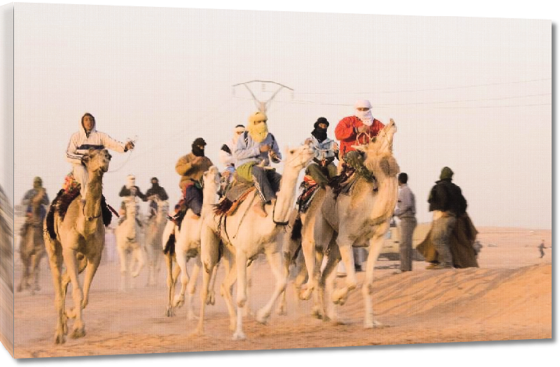Toiles imprimées Photo course chameau en Algérie